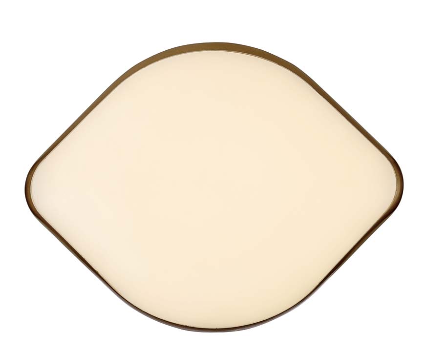 Đèn Trang Trí Ốp Trần Cánh Hoa Đơn Giản Khung Sắt Chao Thủy Tinh 1 Tay 12W Venus Pd83 Đèn Trang Trí Ốp Trần Cánh Hoa Đơn Giản Khung Sắt Chao Thủy Tinh 1 Tay 12W Venus Pd83