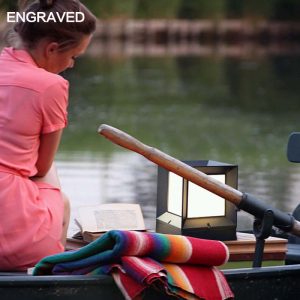 đèn trang trí sân vườn VR2091L