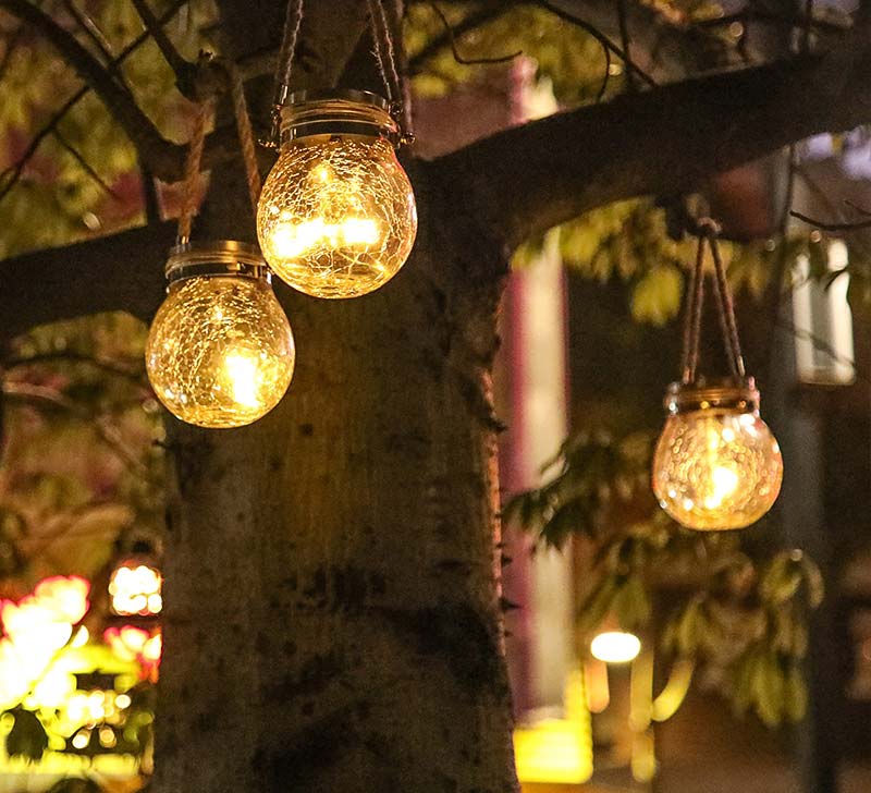 đèn trang trí cây xanh