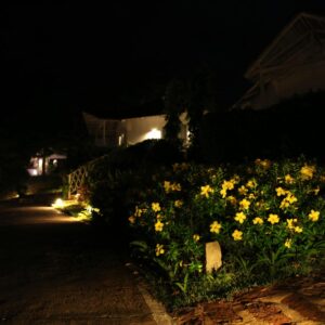 đèn trang trí sân vườn đẹp