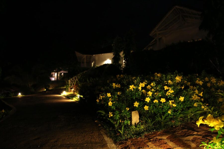 đèn trang trí sân vườn đẹp