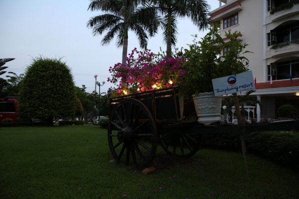 đèn trang trí sân vườn đẹp