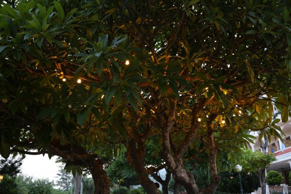 đèn trang trí sân vườn đẹp