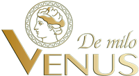 Đèn Trang Trí Khang Dy Venus