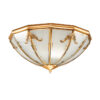 Đèn ốp trần trang trí OD 708 - 350/450
