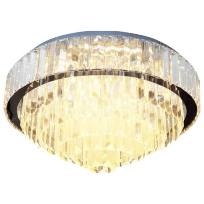 Đèn ốp trần LED OTP42