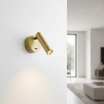 Đèn tường ống rọi N88505