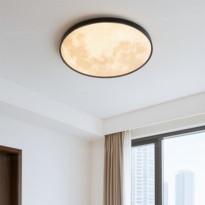 Đèn ốp trần N88437