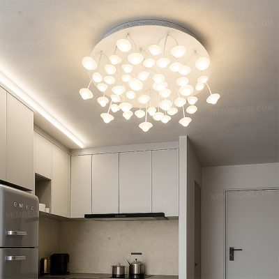 Đèn ốp trần N89193