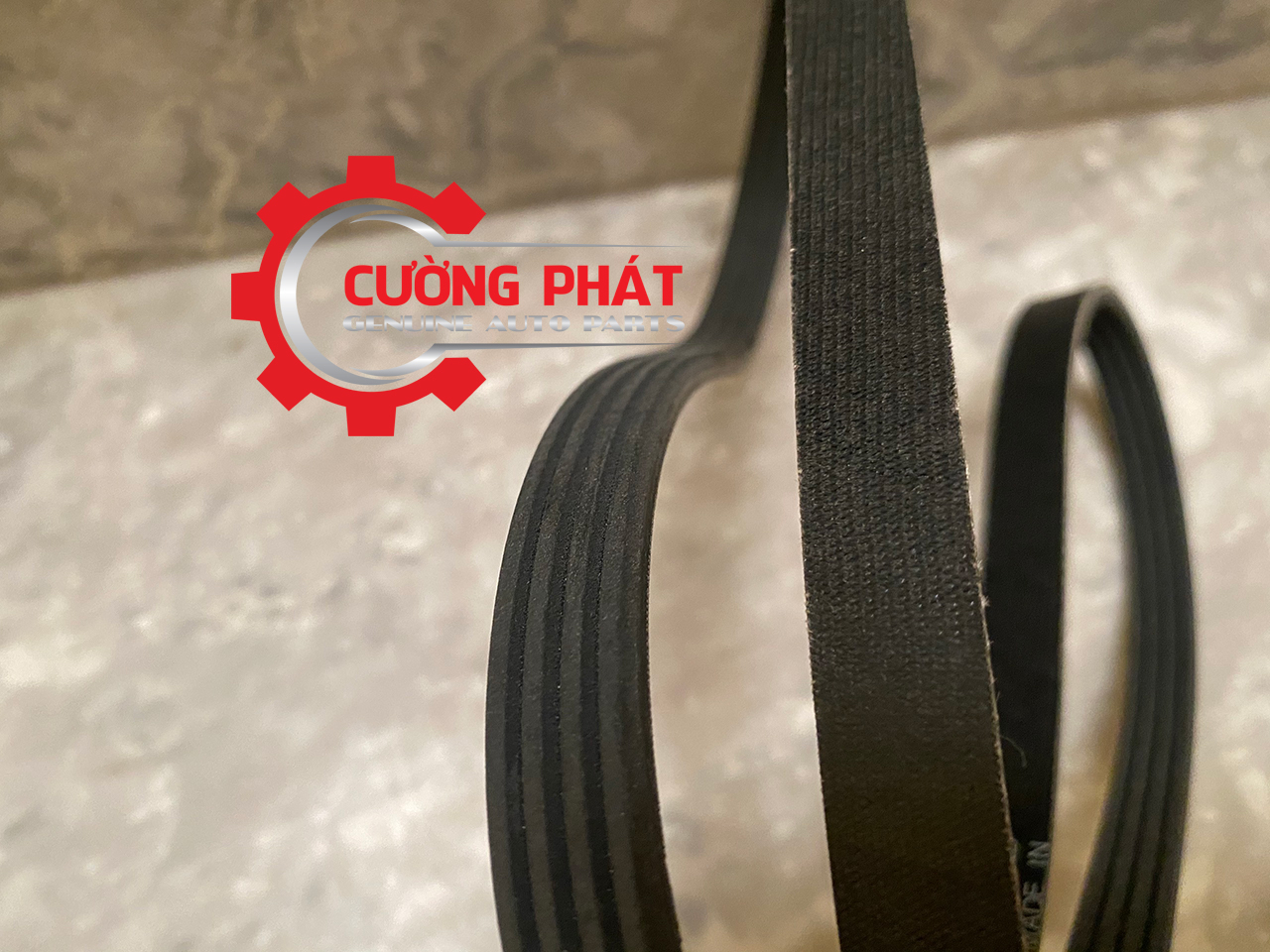 Day-tro-luc-Mitsubishi-Zinger-4451A151-1340A009-1340A115(3) Cận cảnh dây curoa trợ lực Zinger 2008-2014