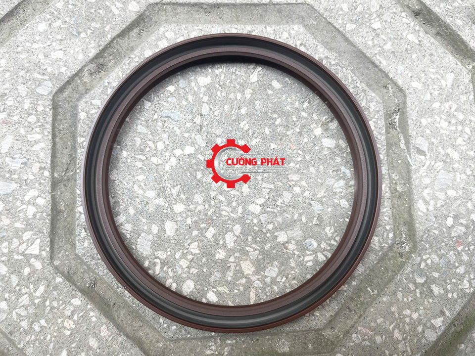 Góc chụp cận cảnh phớt đuôi trục cơ Sport 2010-2016 máy xăng