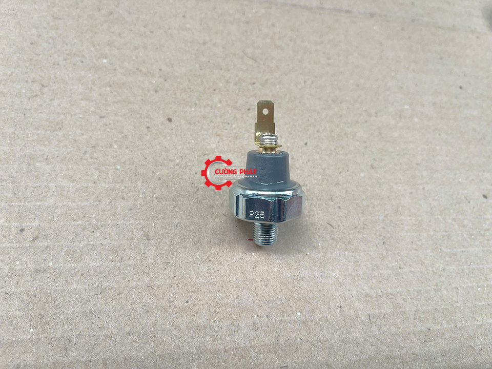 Góc chụp cận cảnh công tắc báo dầu Triton, Grandis
